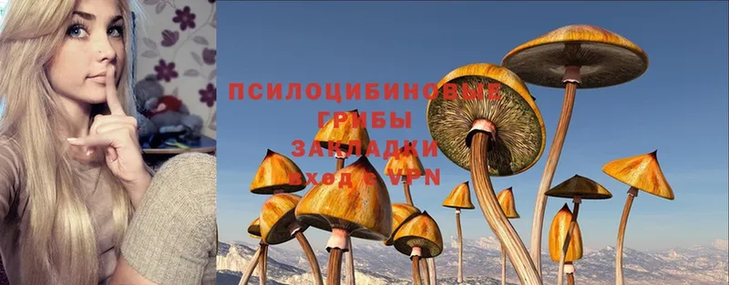 Галлюциногенные грибы MAGIC MUSHROOMS  Оса 